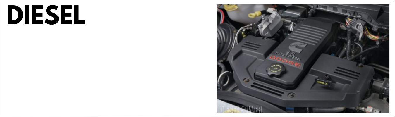 Volkswagen Diesel Service Dales Auto Service